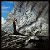 ROSE ON THE CLIFFS