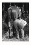 Hind Sight